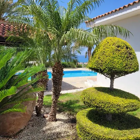 Villa Bananorama