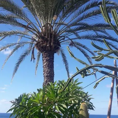 Villa Bananorama Kissonerga